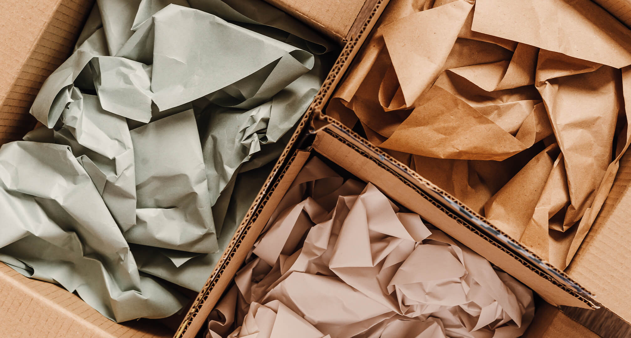 three cardboard packages with ecological packaging inside