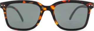 Izipizi Sun #L Tortoise Mirror 26347