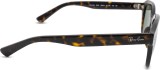 Ray-Ban Erik RB4398 902/31 24577