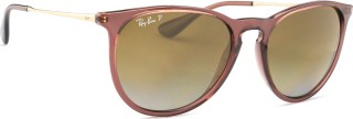 Ray-Ban Erika RB4171 6593T5 54