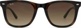 Ray-Ban RB4420 710/13 65 31844